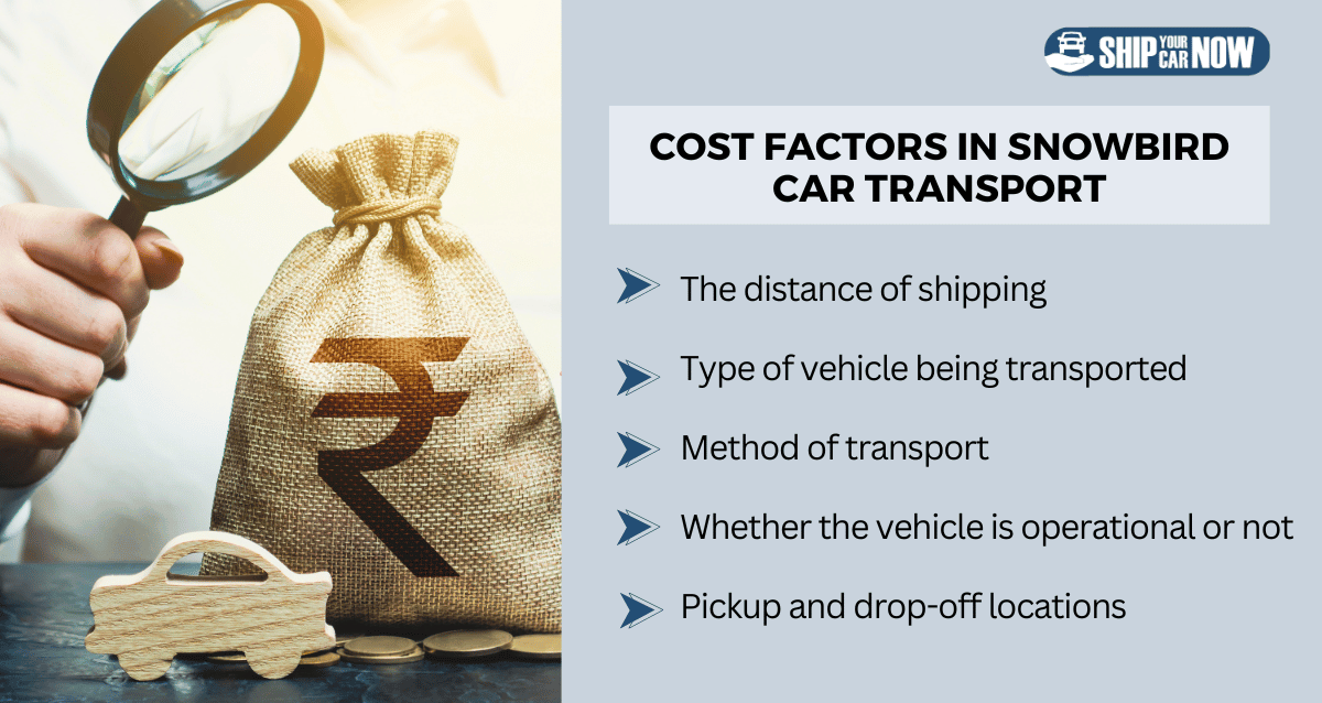 Cost Factors in Snowbirds Car Shipping