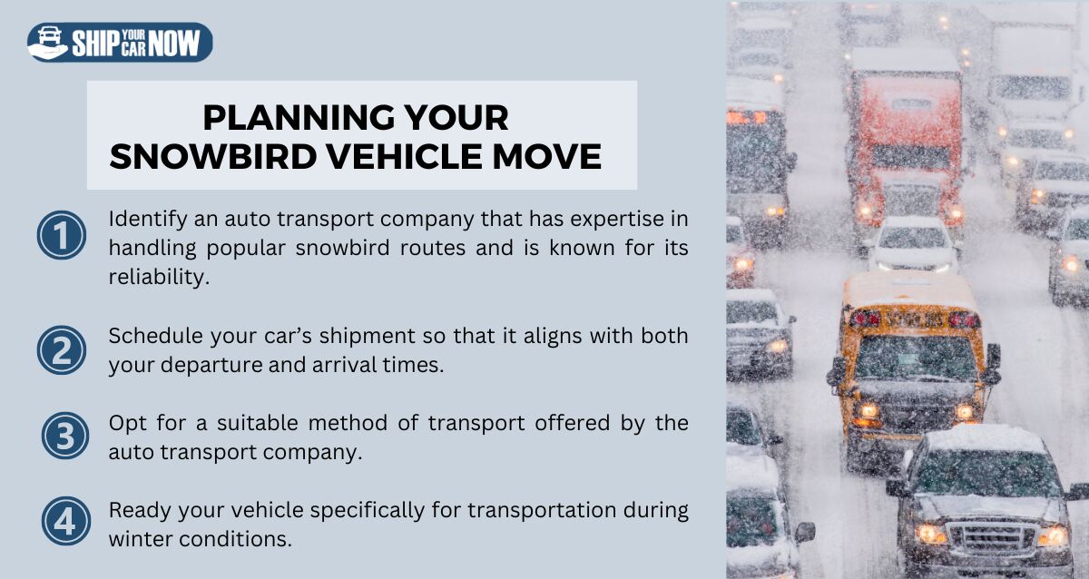 Planning Your Snowbird Vehicle Move